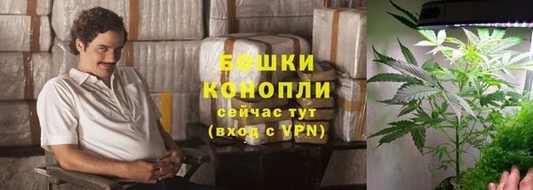 PSILOCYBIN Абдулино